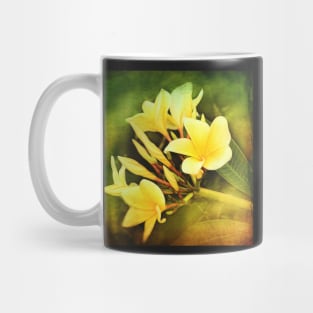 Plumeria Mug